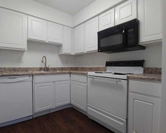 Photo Gallery Image