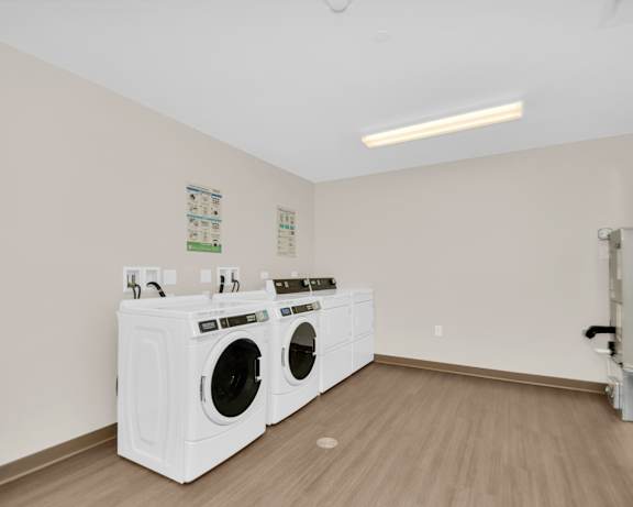 Photo Gallery Image