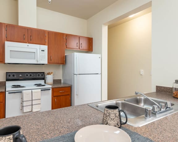 Photo Gallery Image