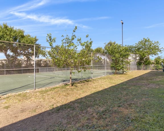 Photo Gallery Image