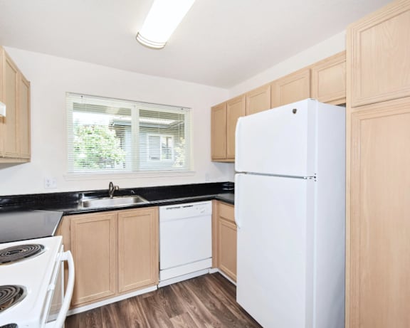 Photo Gallery Image