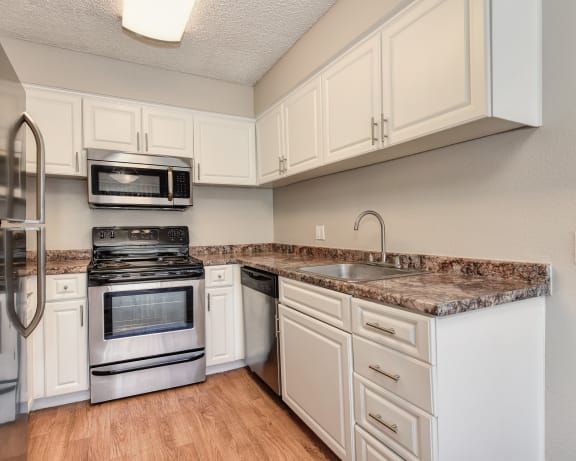 Photo Gallery Image