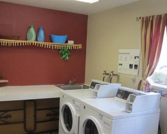 Photo Gallery Image