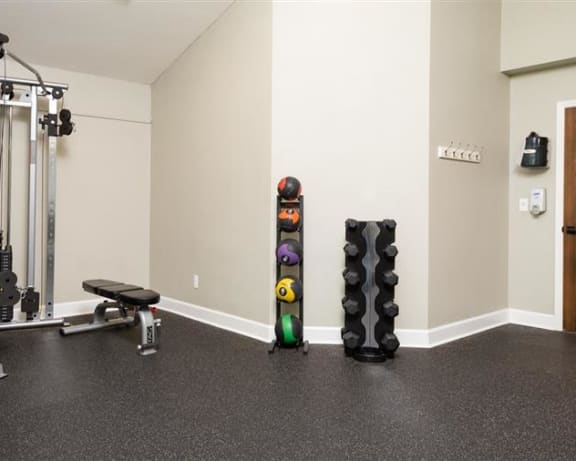 Photo Gallery Image