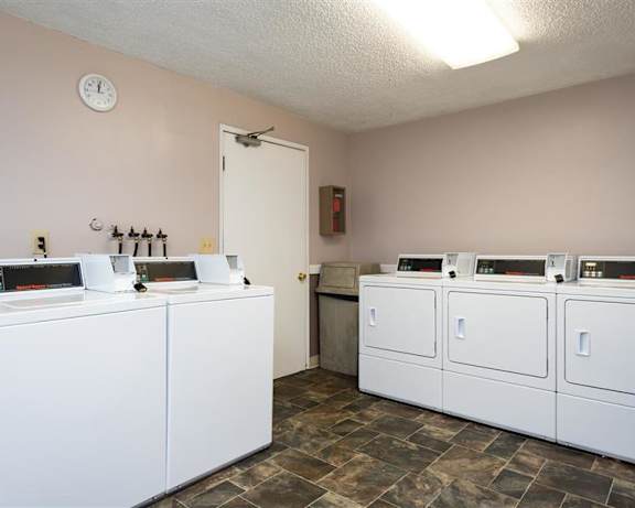 Photo Gallery Image