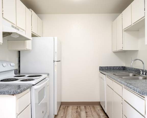 Photo Gallery Image