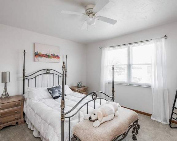 Photo Gallery Image