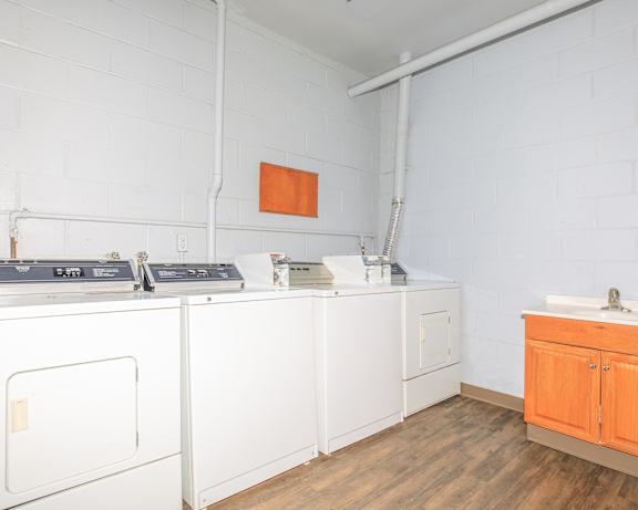 Photo Gallery Image
