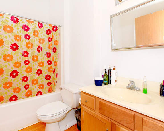 Photo Gallery Image
