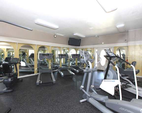Photo Gallery Image