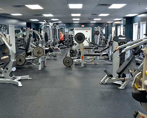 Photo Gallery Image