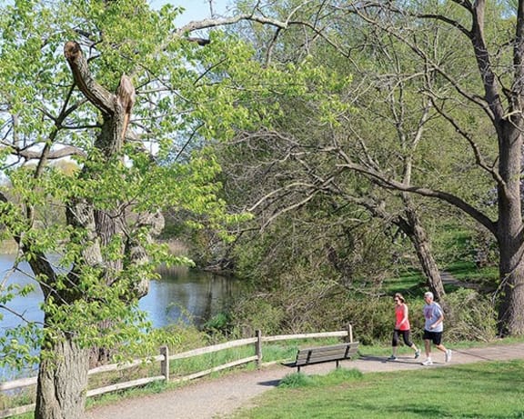 Photo Gallery Image