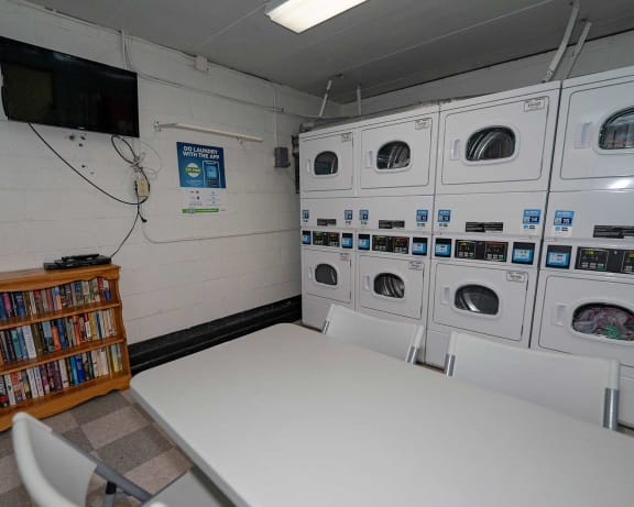 Photo Gallery Image