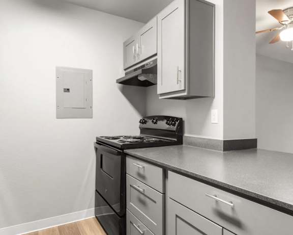 Photo Gallery Image