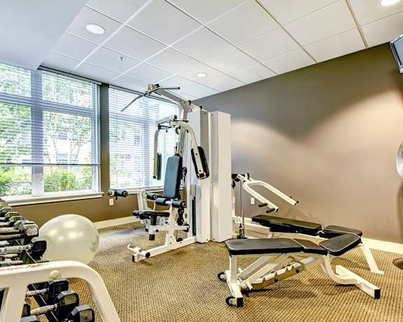 Photo Gallery Image
