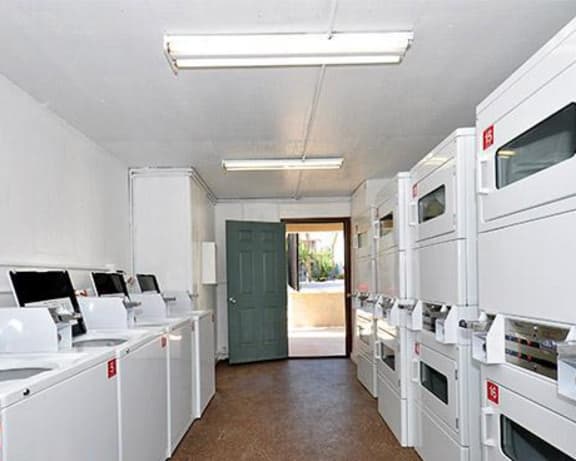 Photo Gallery Image