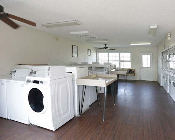 Photo Gallery Image