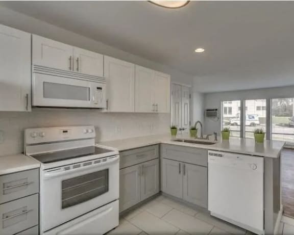 Photo Gallery Image