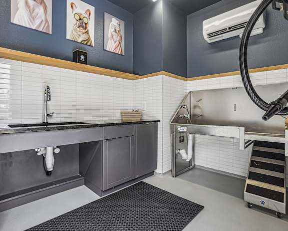 Photo Gallery Image