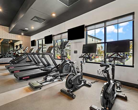 Photo Gallery Image