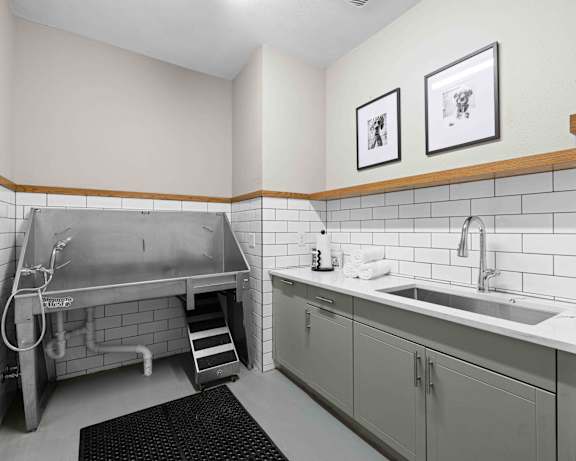 Photo Gallery Image