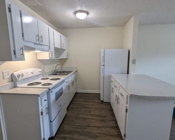 Photo Gallery Image
