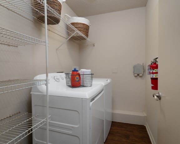 Photo Gallery Image