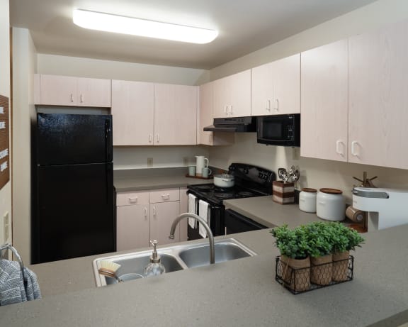 Photo Gallery Image