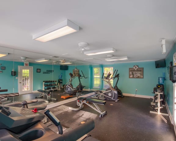 Photo Gallery Image