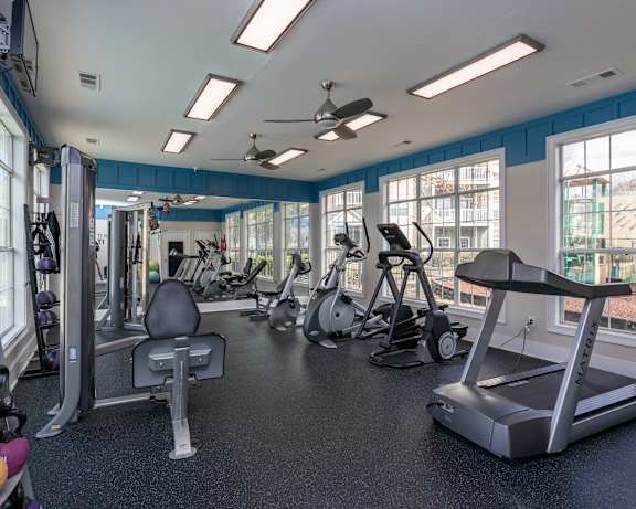 Photo Gallery Image