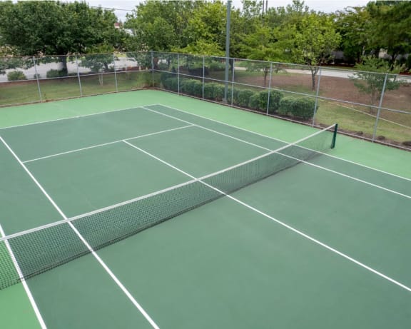 Photo Gallery Image