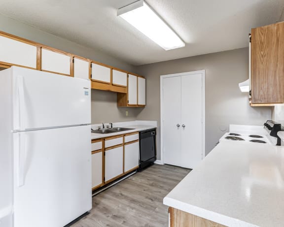 Photo Gallery Image