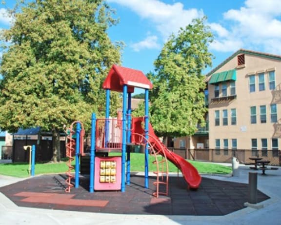 Photo Gallery Image