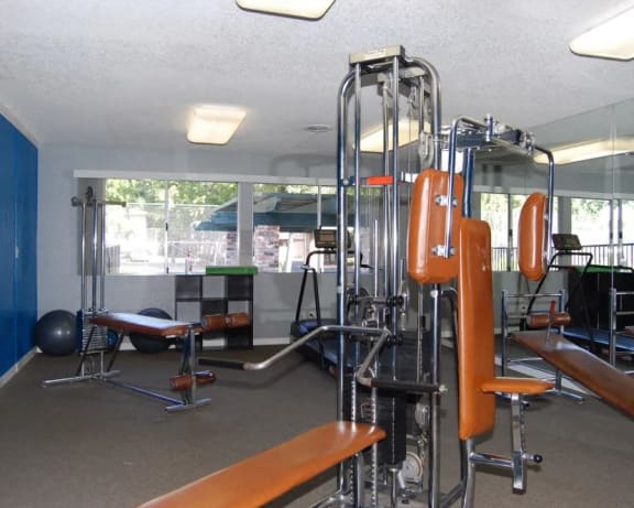 Photo Gallery Image