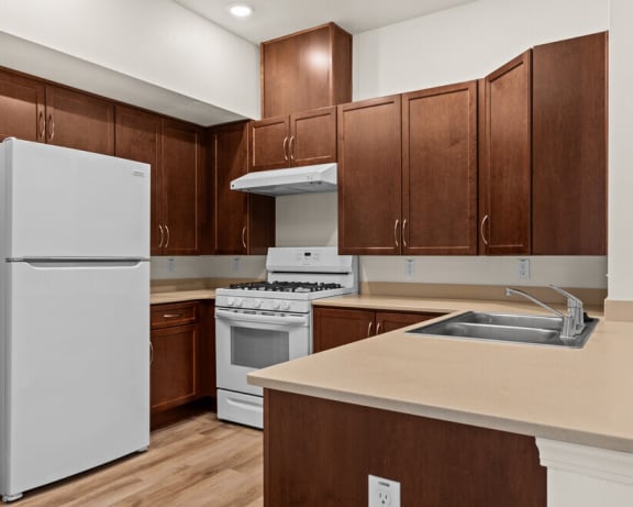 Photo Gallery Image