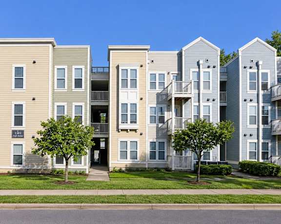 Photo Gallery Image