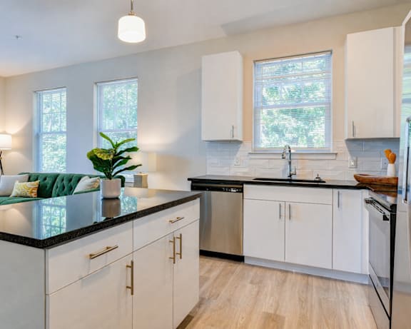 Photo Gallery Image
