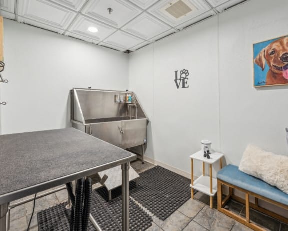 Photo Gallery Image