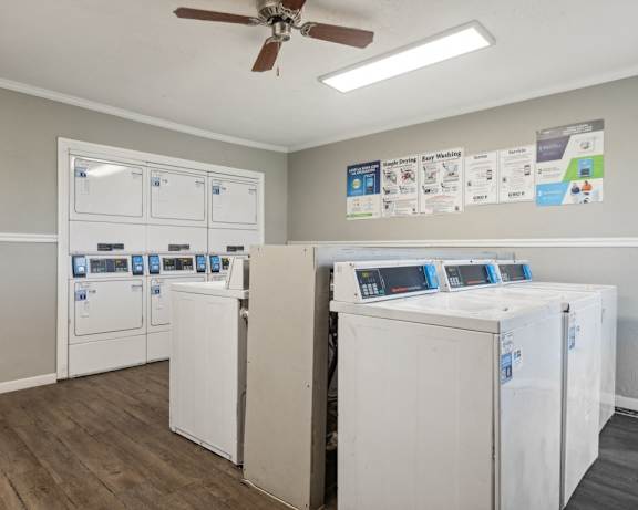 Photo Gallery Image