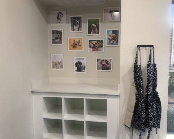 Photo Gallery Image