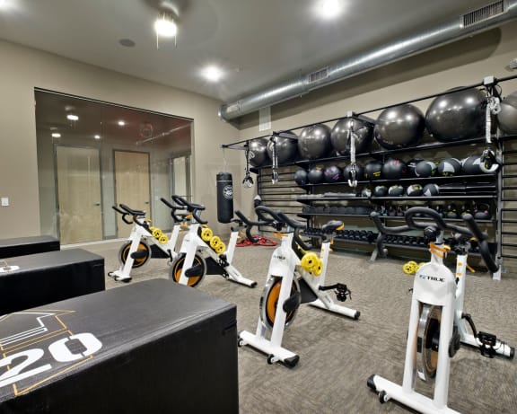 Photo Gallery Image