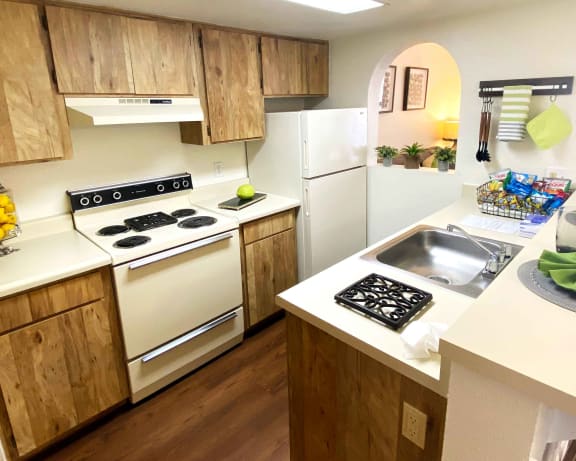 Photo Gallery Image