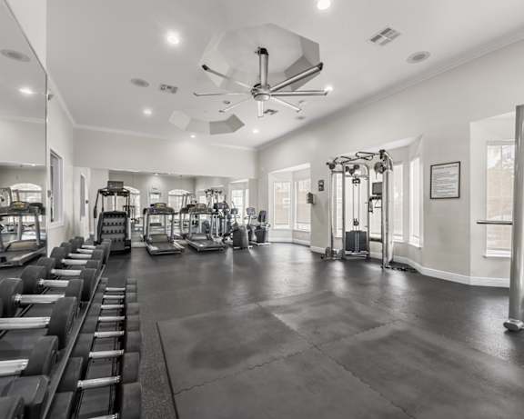 Photo Gallery Image