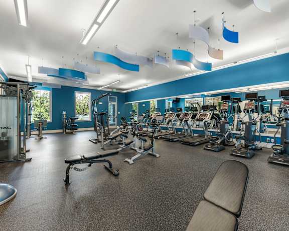 Photo Gallery Image