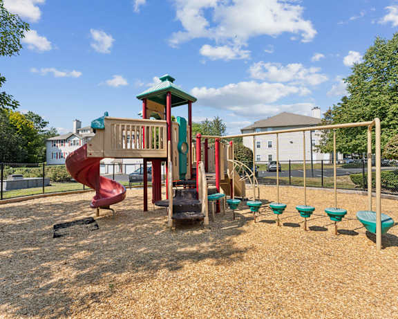 Photo Gallery Image