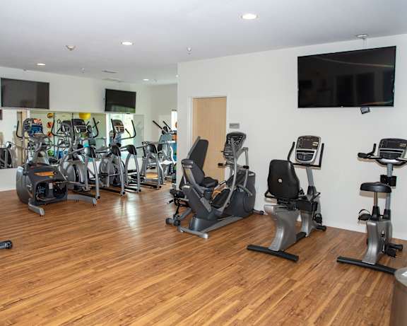 Photo Gallery Image
