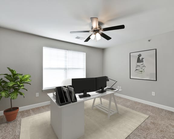 Photo Gallery Image