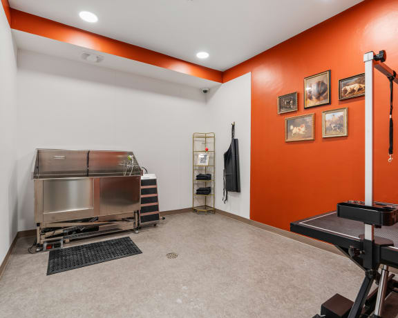Photo Gallery Image