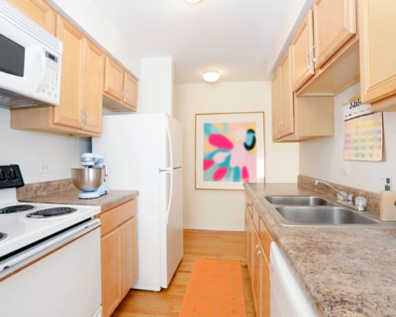 Photo Gallery Image