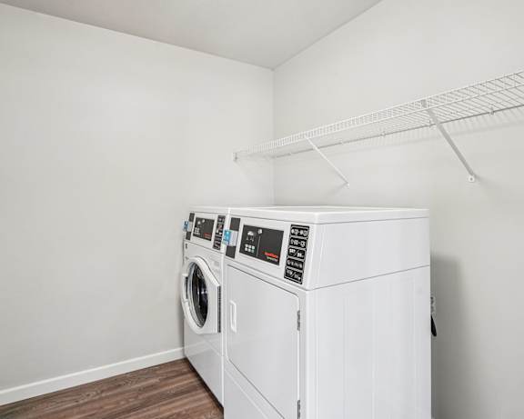 Photo Gallery Image